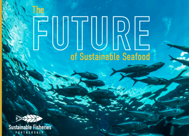 Screenshot of the front cover of the SFP 2023-24 annual report, The Future of Sustainable Seafood, showing a photo of fish underwater with the words on top of it